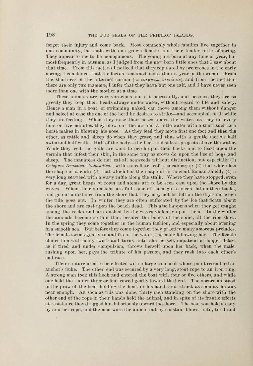 Page 198 of the 1899 English translation of Steller, on hunting sea cows