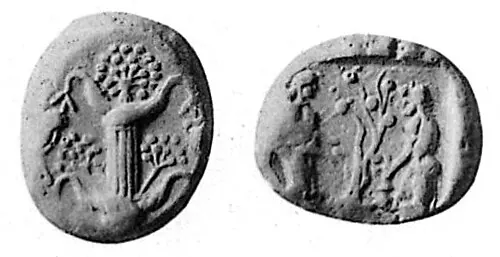 Cyrene coin illustration; open Wikimedia Commons for the full image record
