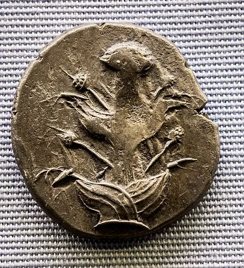 Cyrene tetradrachm; open Wikimedia Commons for the full image record