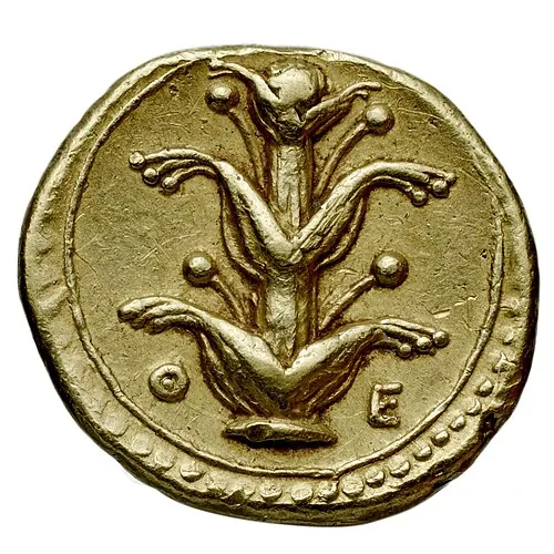 Gold coin of Cyrenaica with a silphium motif, from the Bibliothèque nationale de France