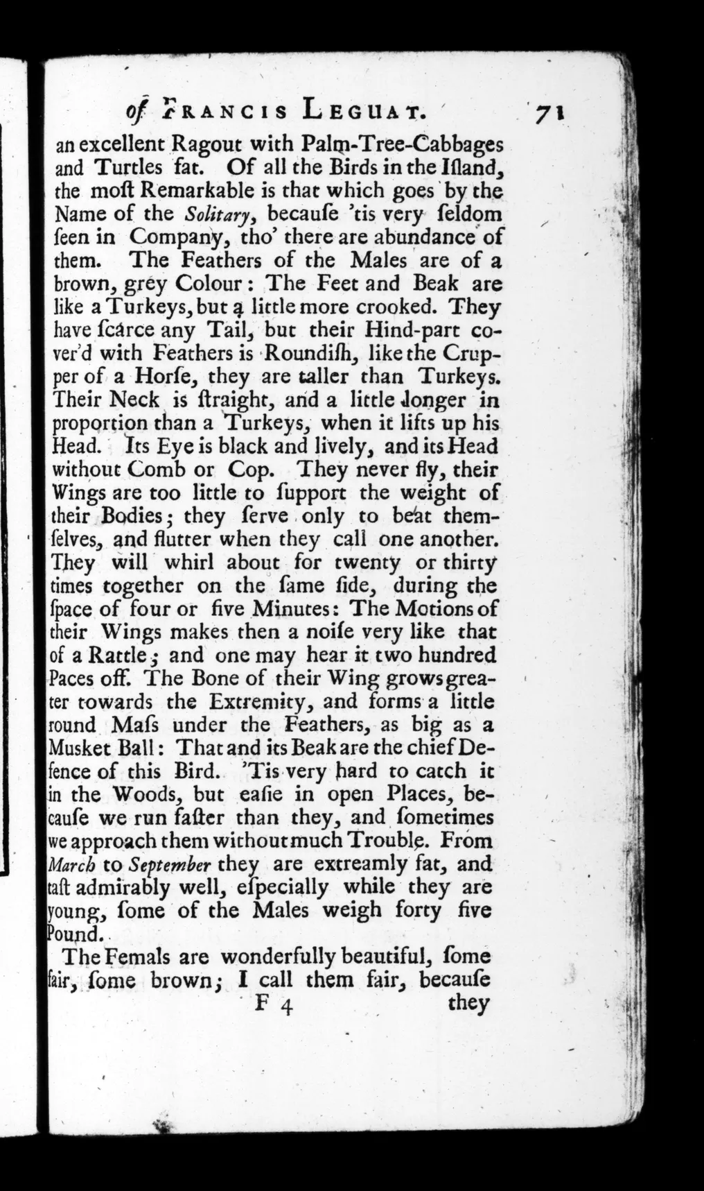 Page 71 of Leguat’s 1708 New Voyage, describing the Solitary