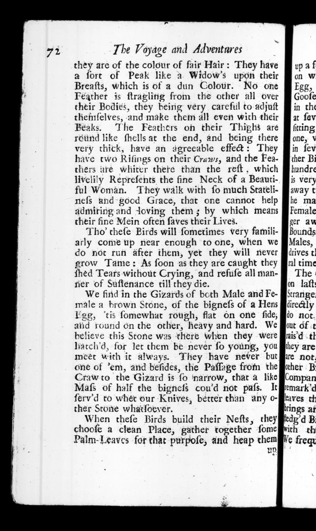 Leguat, 1708, p. 72. Internet Archive.