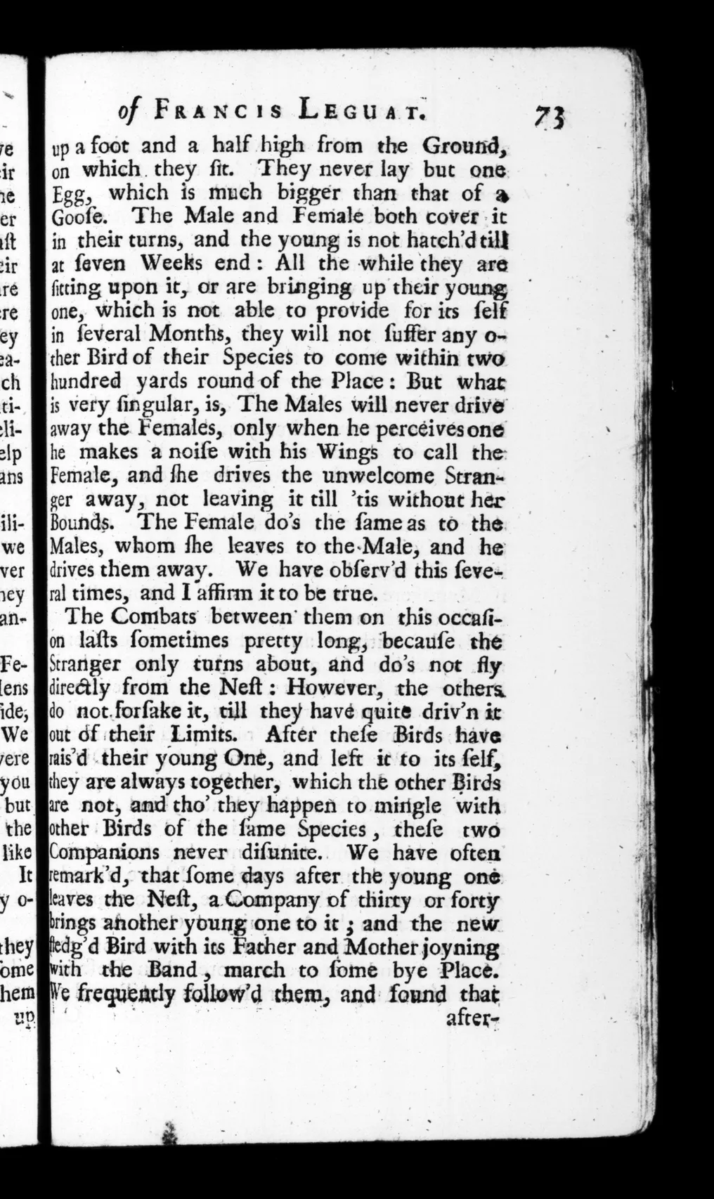 Page 73 of Leguat’s 1708 New Voyage, on nesting and territorial defence