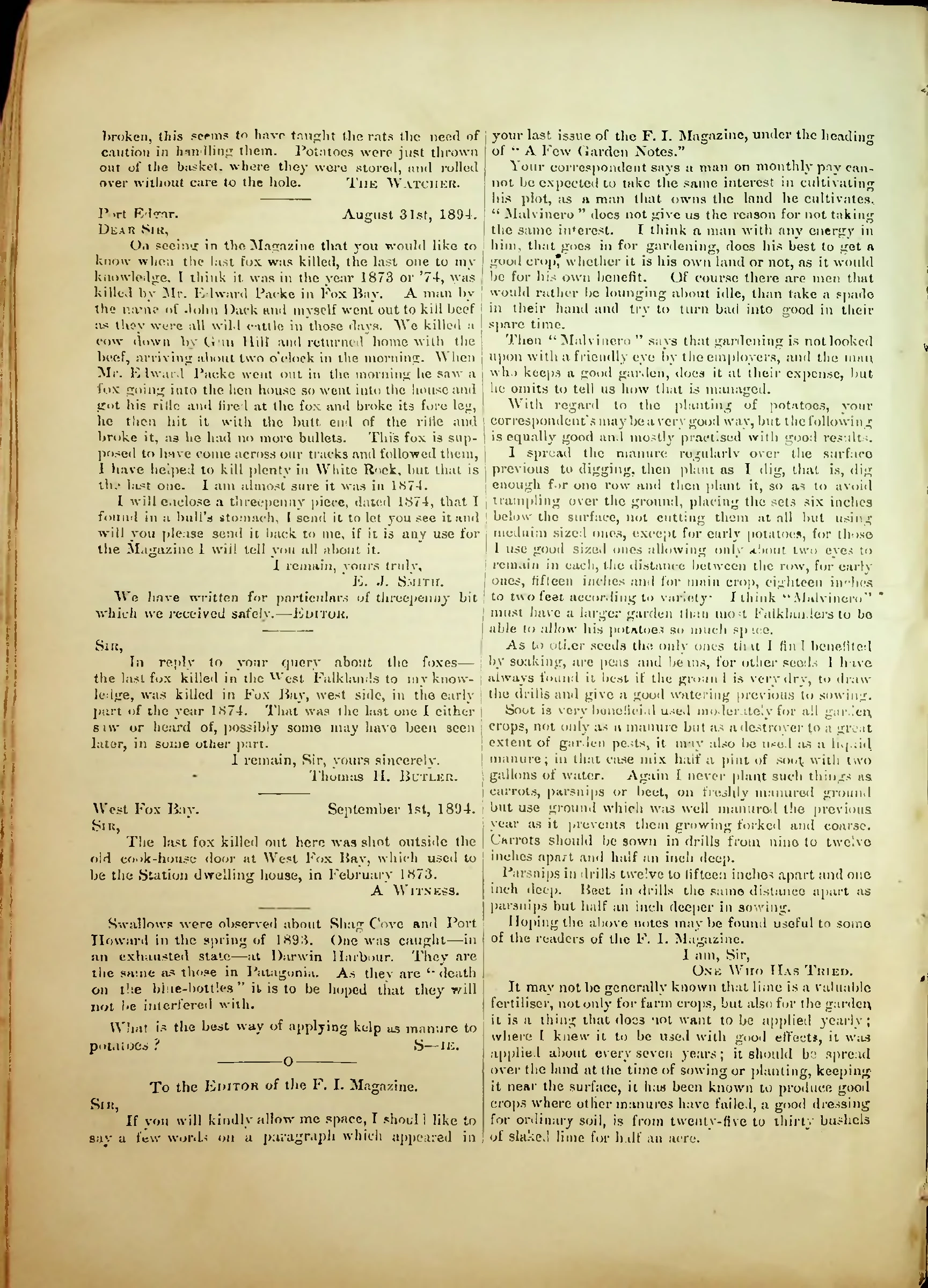 The Falkland Islands Magazine, October 1894, unnumbered letters page. Jane Cameron National Archives / Internet Archive.
