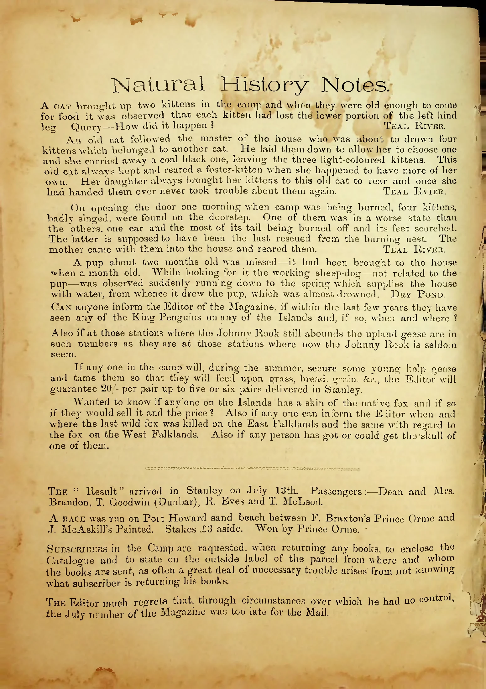 The Falkland Islands Magazine, July 1894, unnumbered page. Jane Cameron National Archives / Internet Archive.